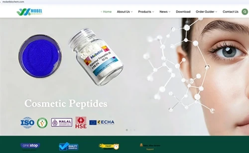 Eine neue Version der Firmenhomepage wird eingerichtet