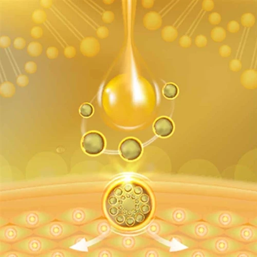 Schlüsselfunktionen lipophiler kosmetischer Peptide